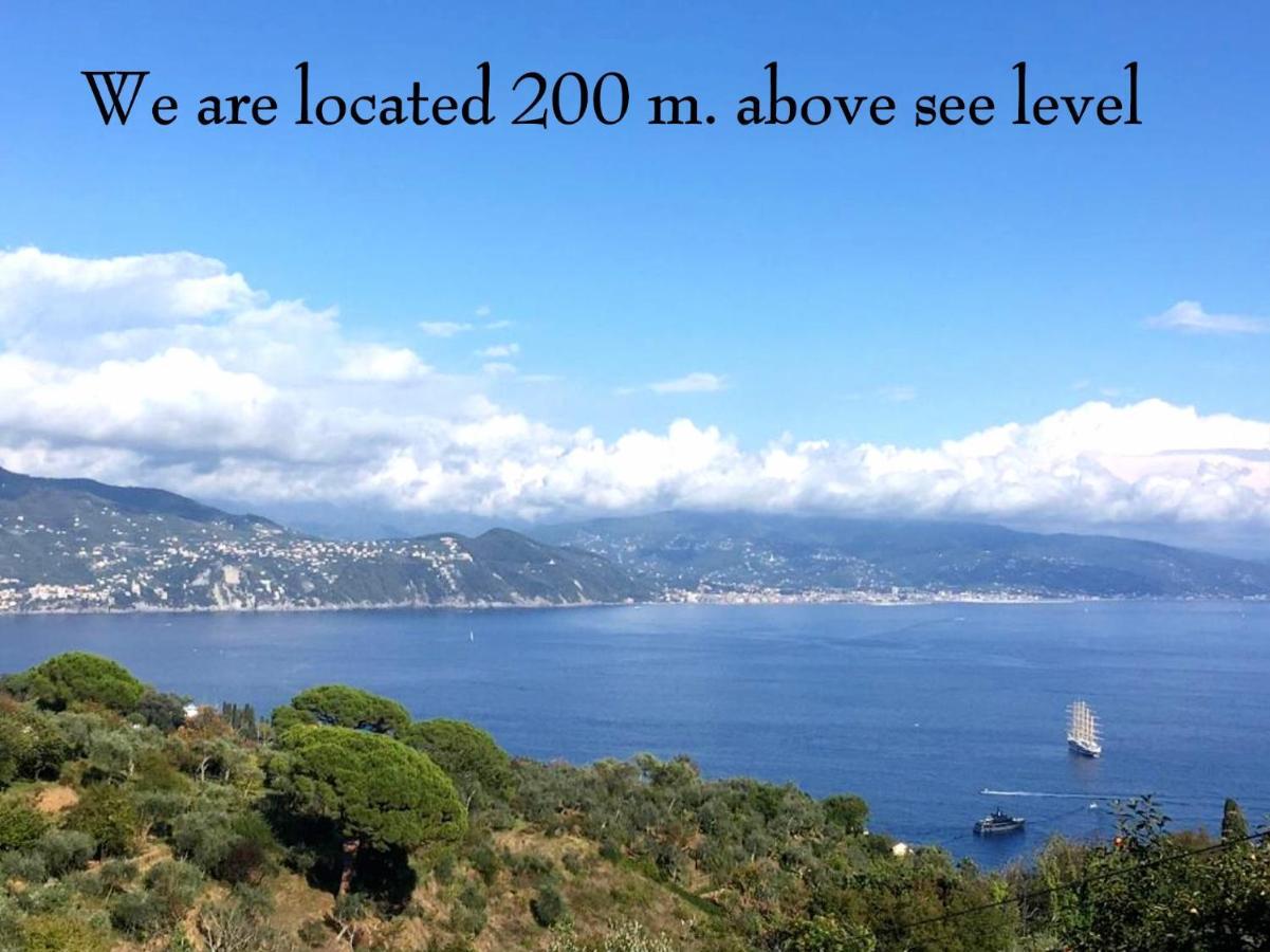 Agriturismo Terre Rosse Portofino Villa Kültér fotó